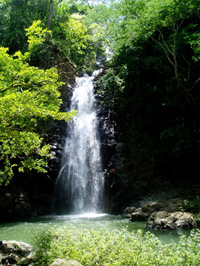 waterfall tambor costa rica