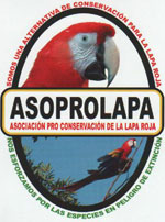 asoprolapa costa rica Macaws
